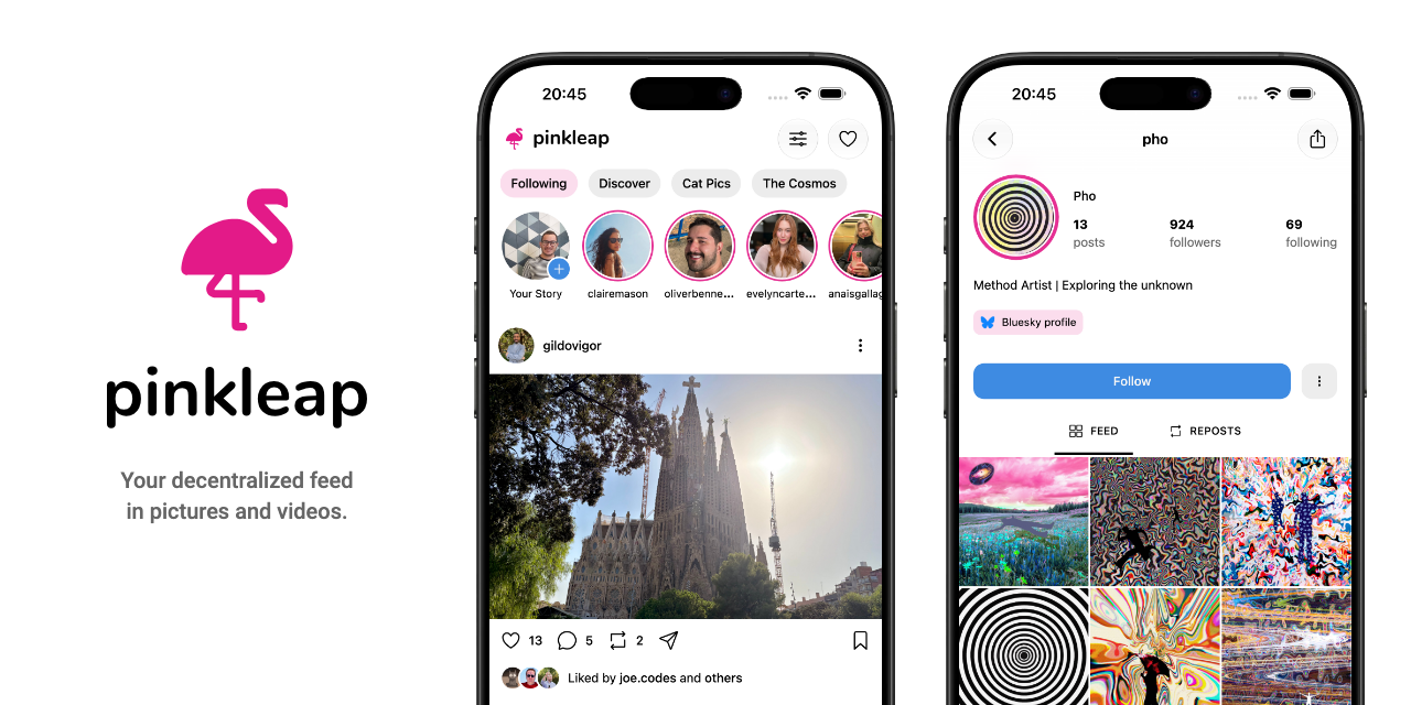 https://pinkleap.social/ social preview image